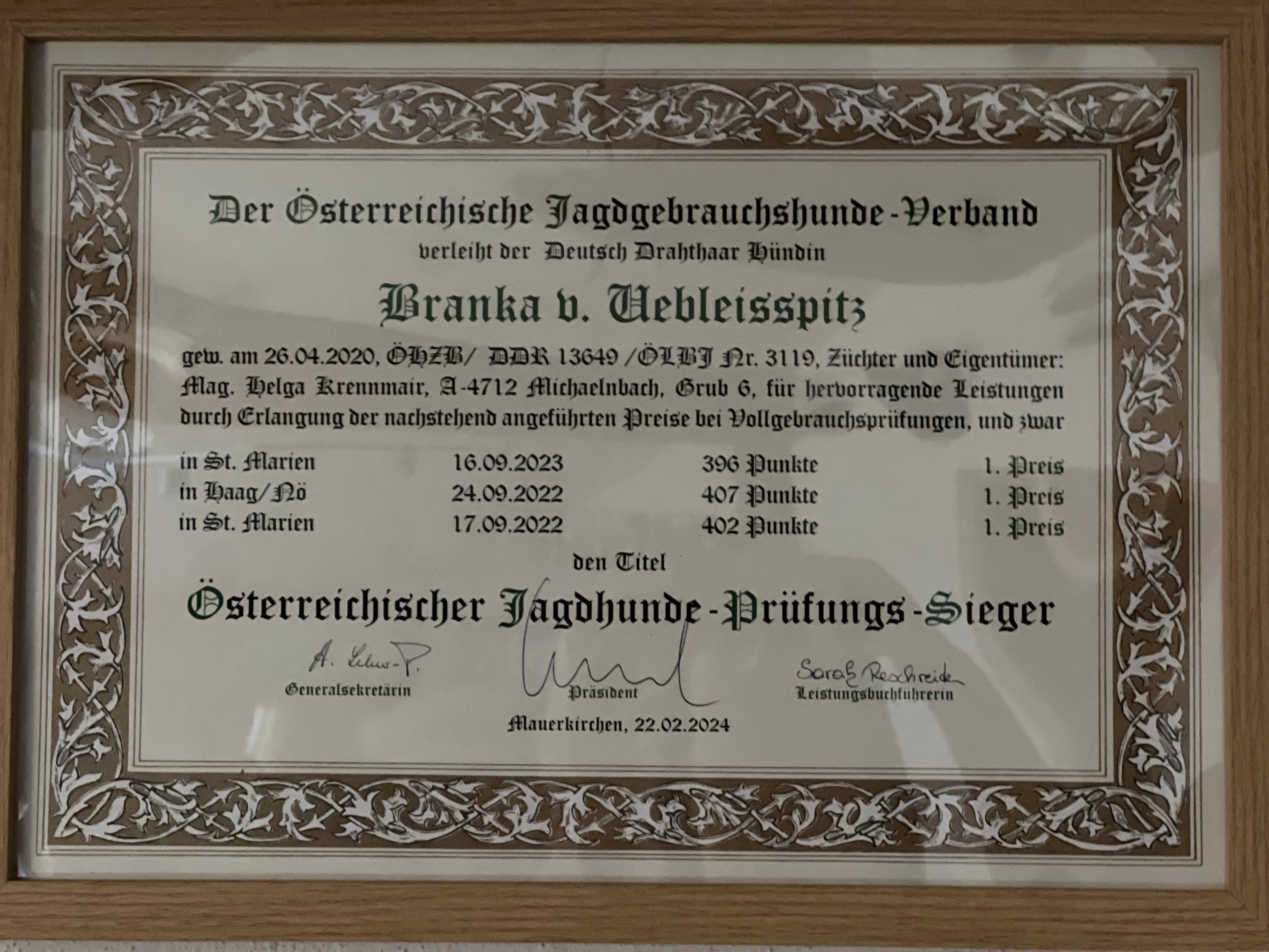 Österreich Sieger Urkunde